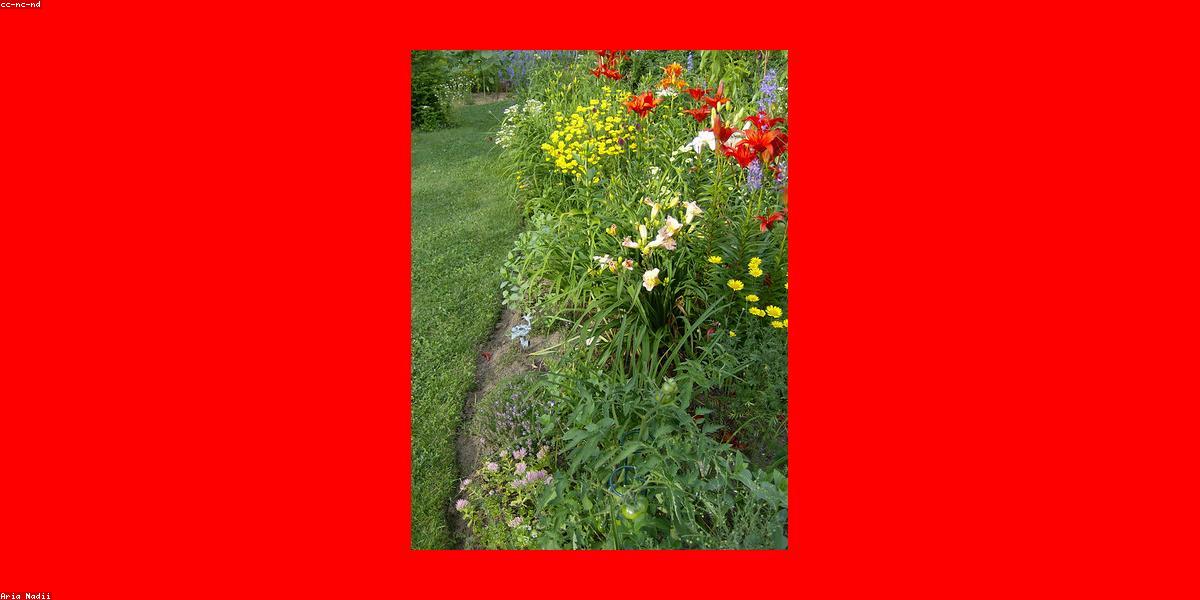 Productive permaculture homestead garden